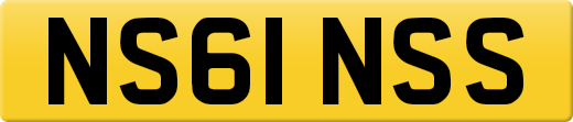 NS61NSS